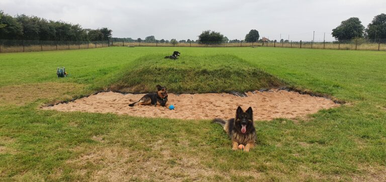 1976 b20f29188e5dd62325e15c5903bee24e 1 768x363