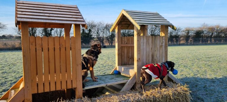 1976 b7f47f78a9d25de703f978540327b7fe 1 768x346