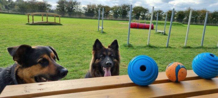 1976 f548221304189fd27a7373852dfcb6b4 1 768x346