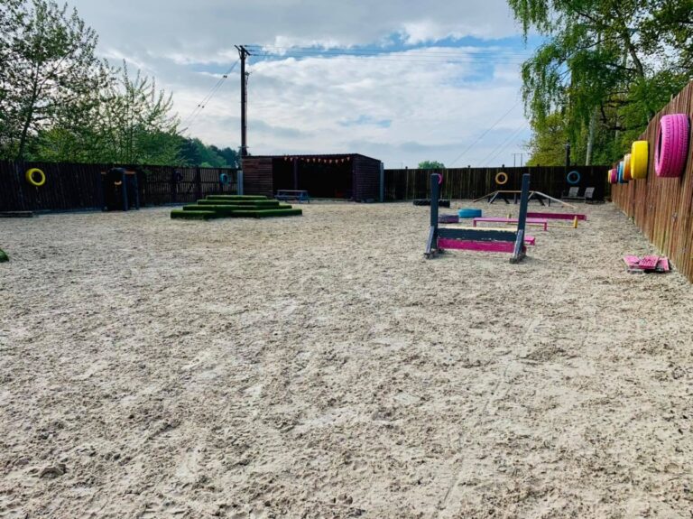 1977 79208a8cb993fc8a6f294010b89f14aa 1 768x575