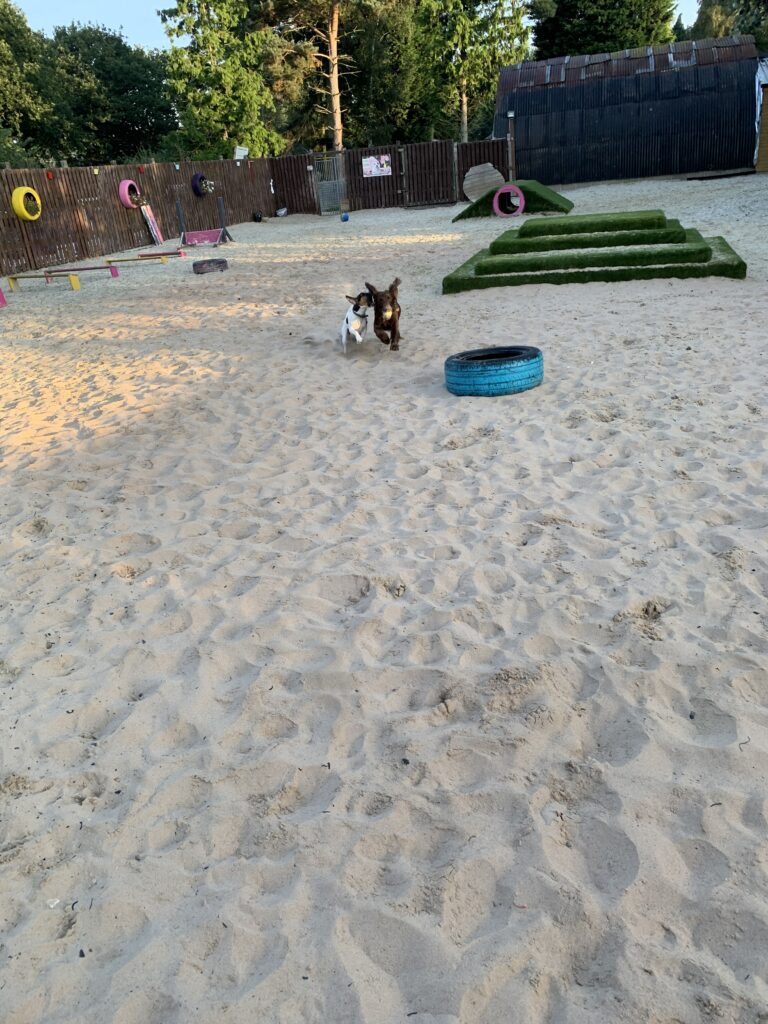 1977 ab06be23aaca5abedd060acd6a6d01ab 1 768x1024