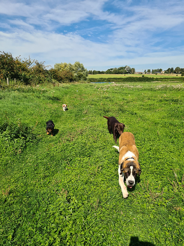 1978 7e6d6f9e9c17cae9e0dc62fd7324df44 1