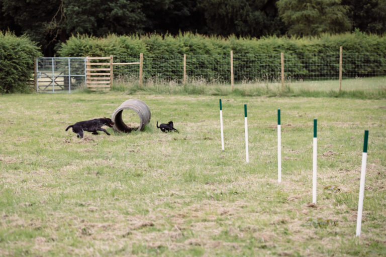 1979 80f3a6ed9386caf1cd14fe7e7d051a25 1 768x512