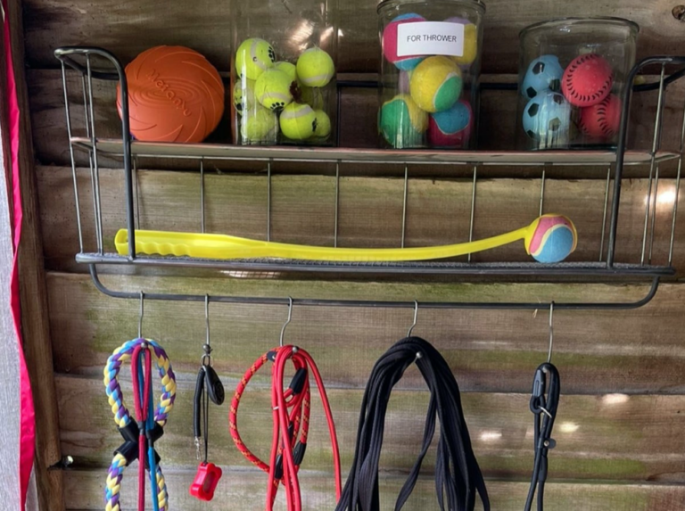 1980 0008591db9e28fda0977905926475b22 1 768x573