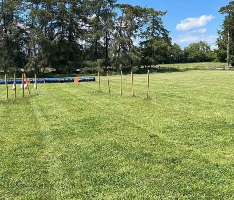 1980 7d08b404bd62cf9fab4a068b7c2ceb90 1 768x658