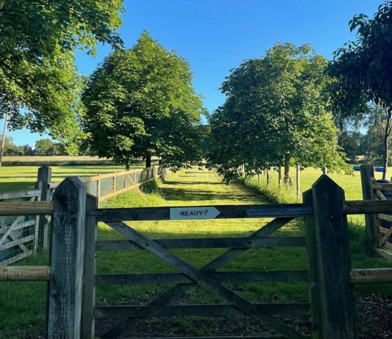 1980 b8c110f082b20b3f8c7c327e67a5eeba 1 768x664