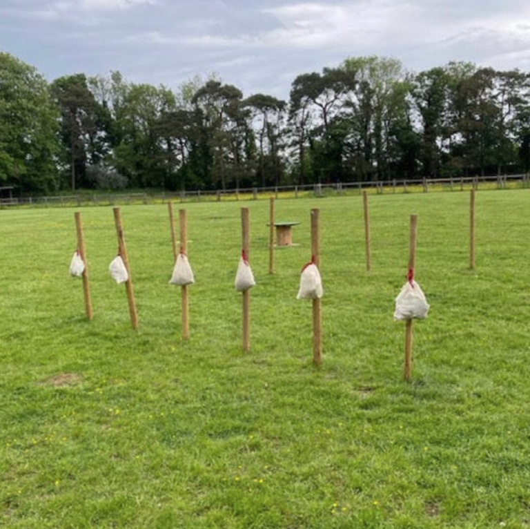 1980 fb6af2055e07122aee3707eaf2425f10 1 768x766