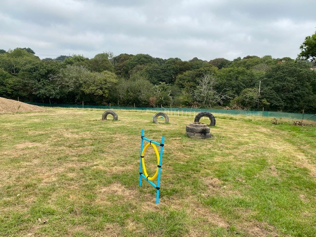 1981 7c2eb8da6988a00d7bb3c0636ea03548 1