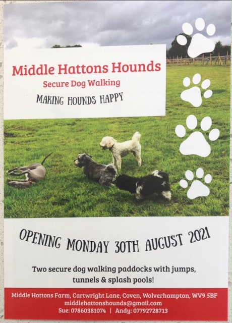 1982 1ce2802321f75df22e22b0b188d6d6d1 1