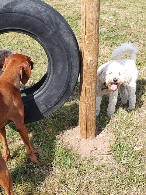 1982 e6cadcfa5923b3a1363551ac4a67b7a9 1