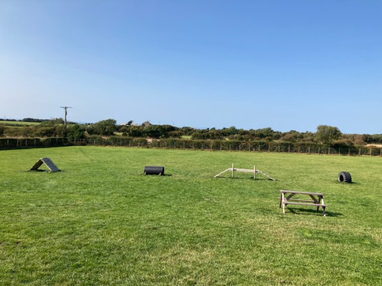 1986 6ad9dbdf3e591702013ef4ff7dacf73b 1 768x576