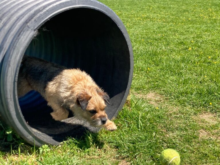 1986 a15d91e2b0fa9f4a9a00119d95a7d839 1 768x576