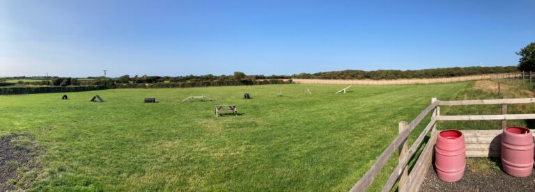 1986 f57e65aa9b932963ce732c40fb31e59c 1 scaled 768x276