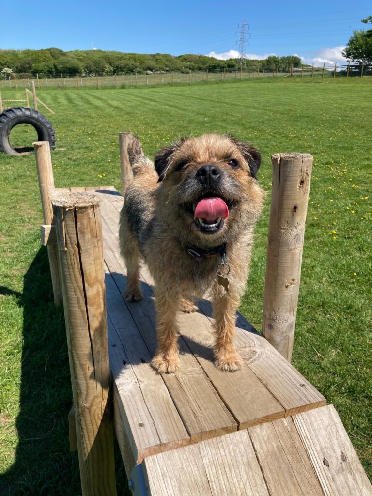 1986 f95f624a108795fc1cf5b8baaca69134 1 768x1024