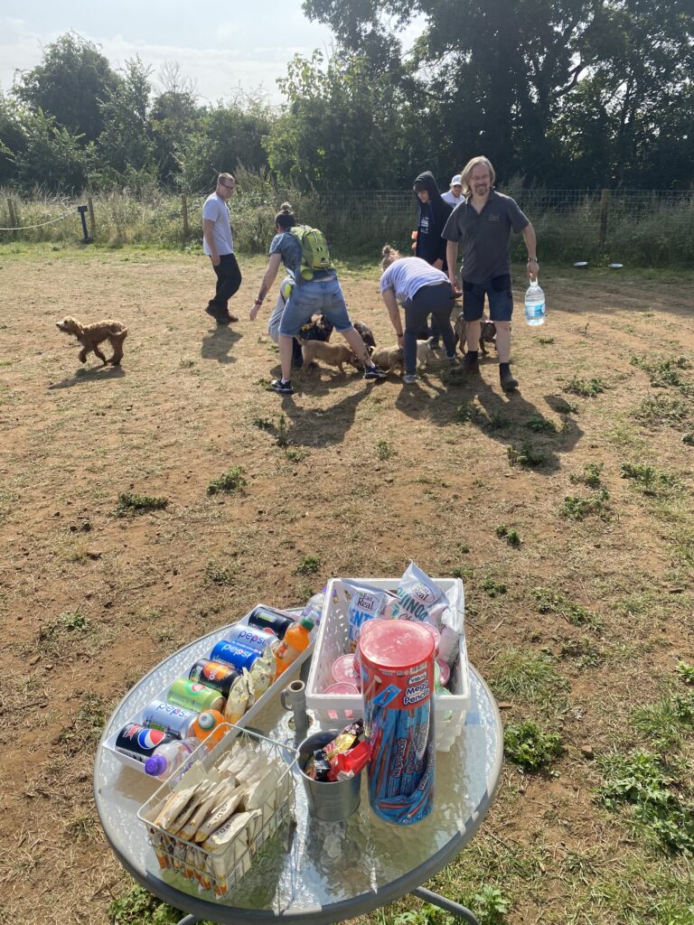 1987 2120e6b12368f0222f9abd8b9f42ea83 1 768x1024