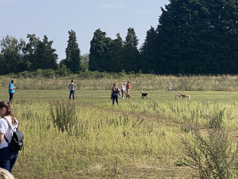 1987 23e614dff5ca3621f39b8e2f6359eeae 1 768x576