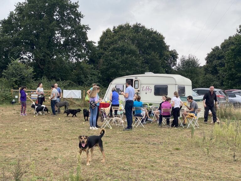 1987 5d6d3928157f294f67972b32939e0171 1 768x576