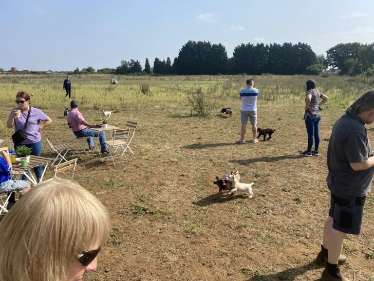 1987 bfa74b5efe95067b728a2535e84855e2 1 768x576