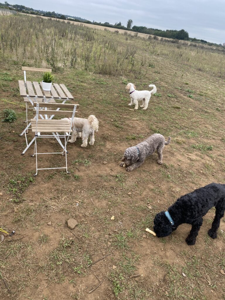 1987 c3a1ed17a7fd91f14d76d09f844db12b 1 768x1024