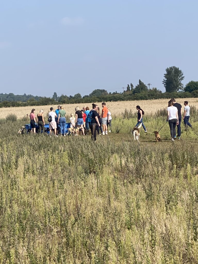 1987 cdb93381103d3f7c5a73fdfc996af153 1 768x1024