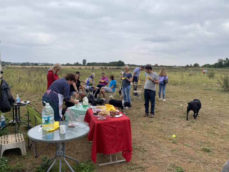 1987 e9473c57ece2c561c926f8545a257f21 1 768x576