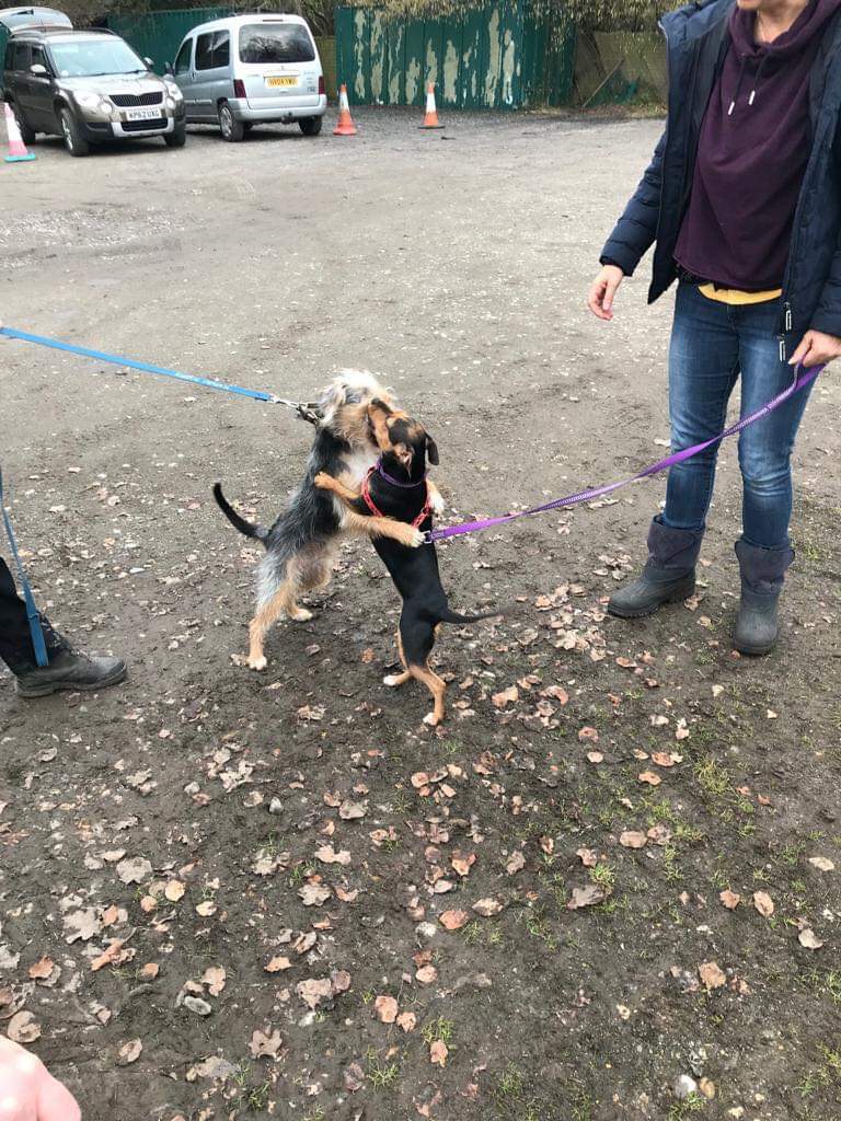 1988 5cc06e999e95f723446e28ec671fd1b5 1