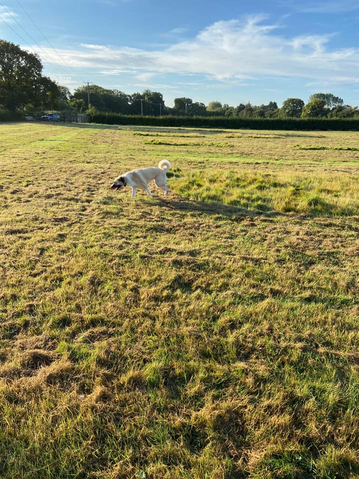 1989 209b80085bbbb93e86f18c17d68ffccf 1