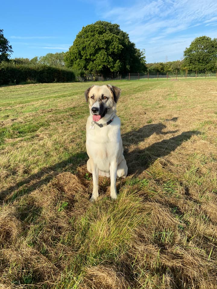 1989 714aa42e99a10d8275791b6667aeba62 1