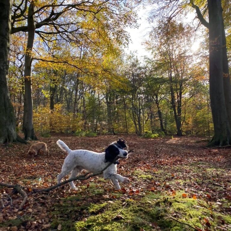 1991 6a068e9889ab414491d599451637de03 1 768x769