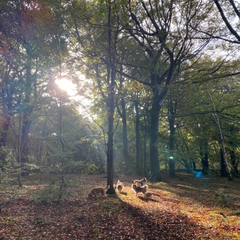 1991 e7c636b0f537807cb282e7fb38c46a65 1 768x769