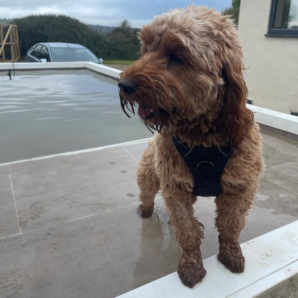 1992 0042c325bd1eb236a4a459caa5194914 1