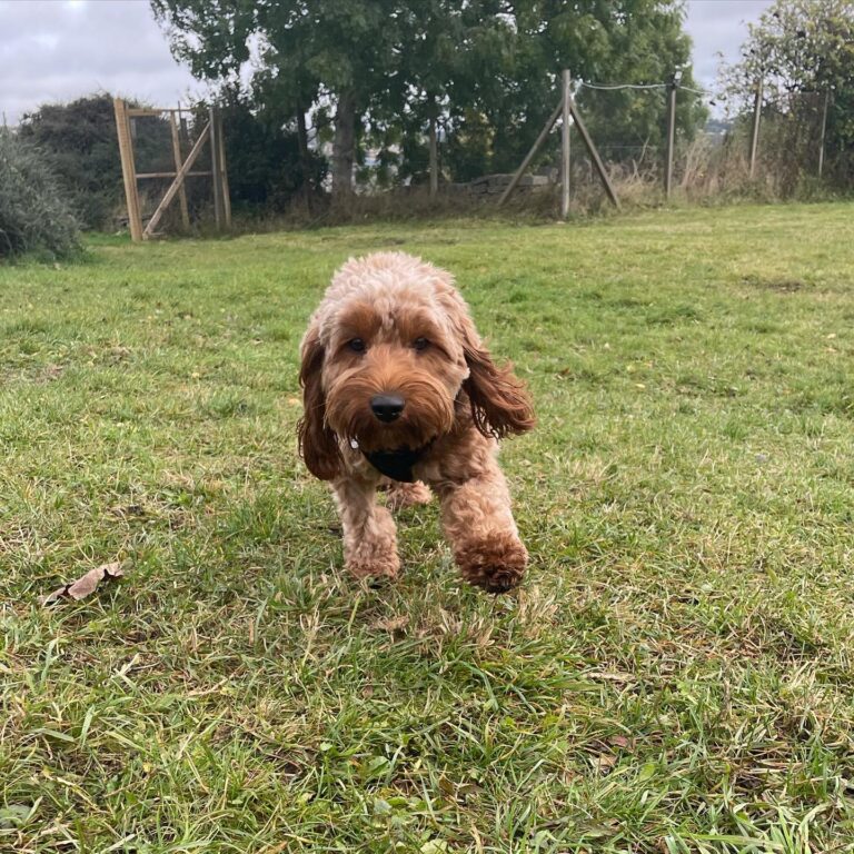 1992 040c49ad3050481e9b8c2bd3c0f4f9fc 1 768x768