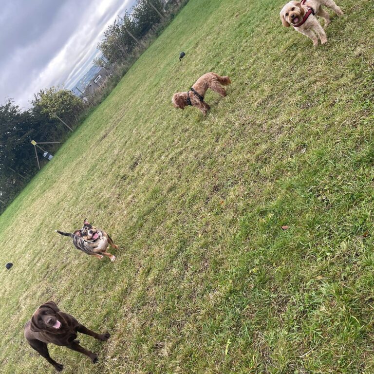 1992 4db9c4f60d346df75e3738e785d45232 1 768x768