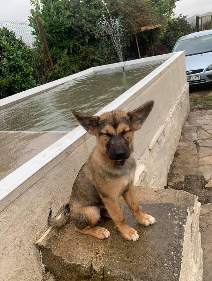 1992 6384654655a044844cc8f6461d2b0598 1