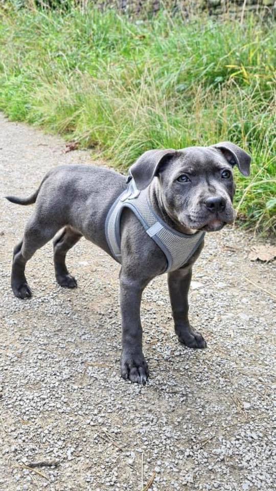 1992 86260ad5069f988f2ce4941d3341e9ca 1