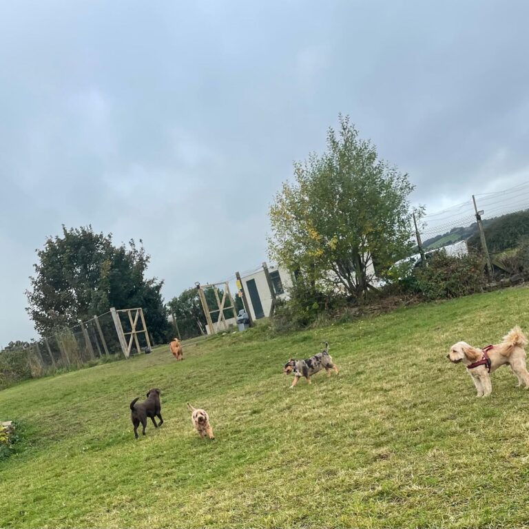 1992 9752c3c893c264c3b4d29e61adfd5384 1 768x768