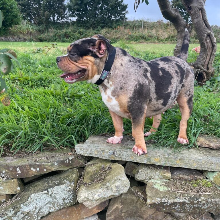 1992 a77522e1fce52cf1307084305c0283d3 1 768x768