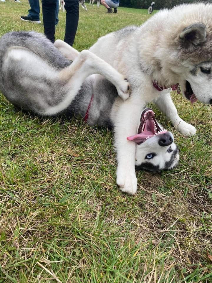 1992 b42cdef84626139dff1f029e76d21795 1