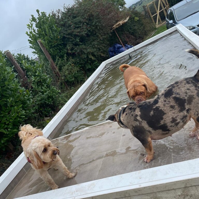 1992 df9aca1e31033f1785a4f6ca5411d147 1 768x768