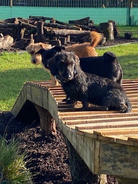 1993 46b54ad4e9877e4c54d8f7d8bd5f24de 1