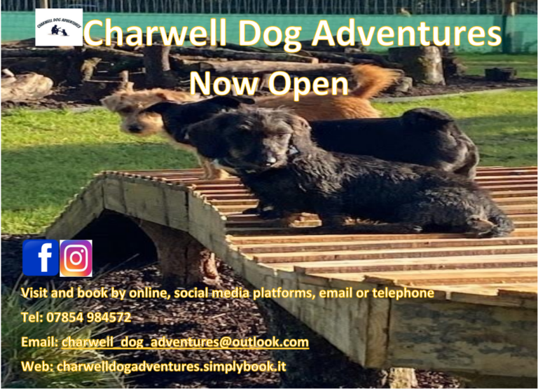 1993 f3568a4b2815b20a2d85b51b43da25c7 1 768x555