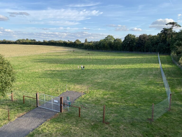 1996 00c38387151060677dafa5fbb00971d7 1 768x576