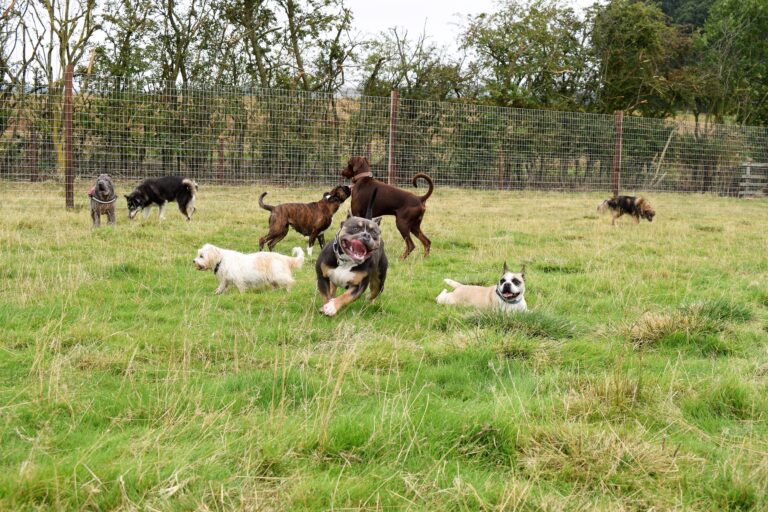 1996 5544b1494dababcae5e6f6d99fec814e 1 768x512