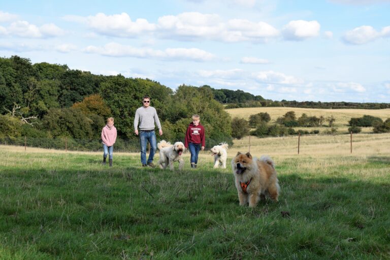 1996 beb2810696fe0c3ca49916d8fd990ef0 1 768x512