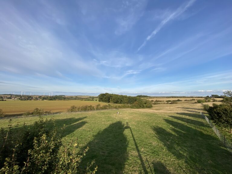 1996 f1b88e7866688324e63935f111e1dc38 1 768x576