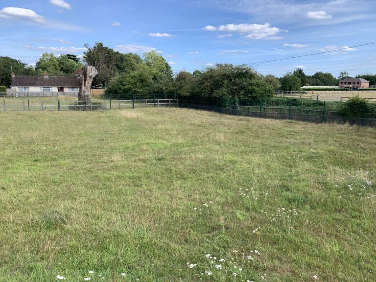 1997 801e2743d6c363647e0be615b659bb7c 1 768x576