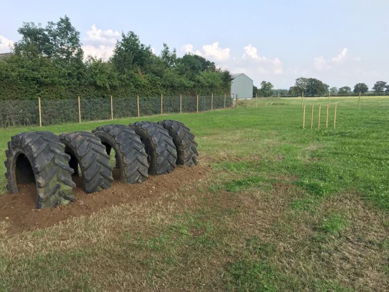 1998 077d2e5b8545aee34791de45390ef244 1 768x576