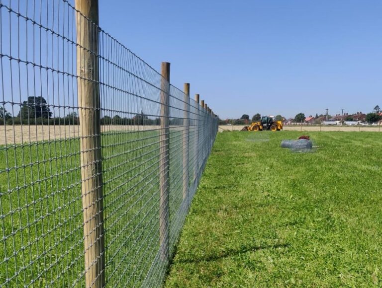 1998 194b8e4b19c980d4fa38b5308beec4c5 1 768x580