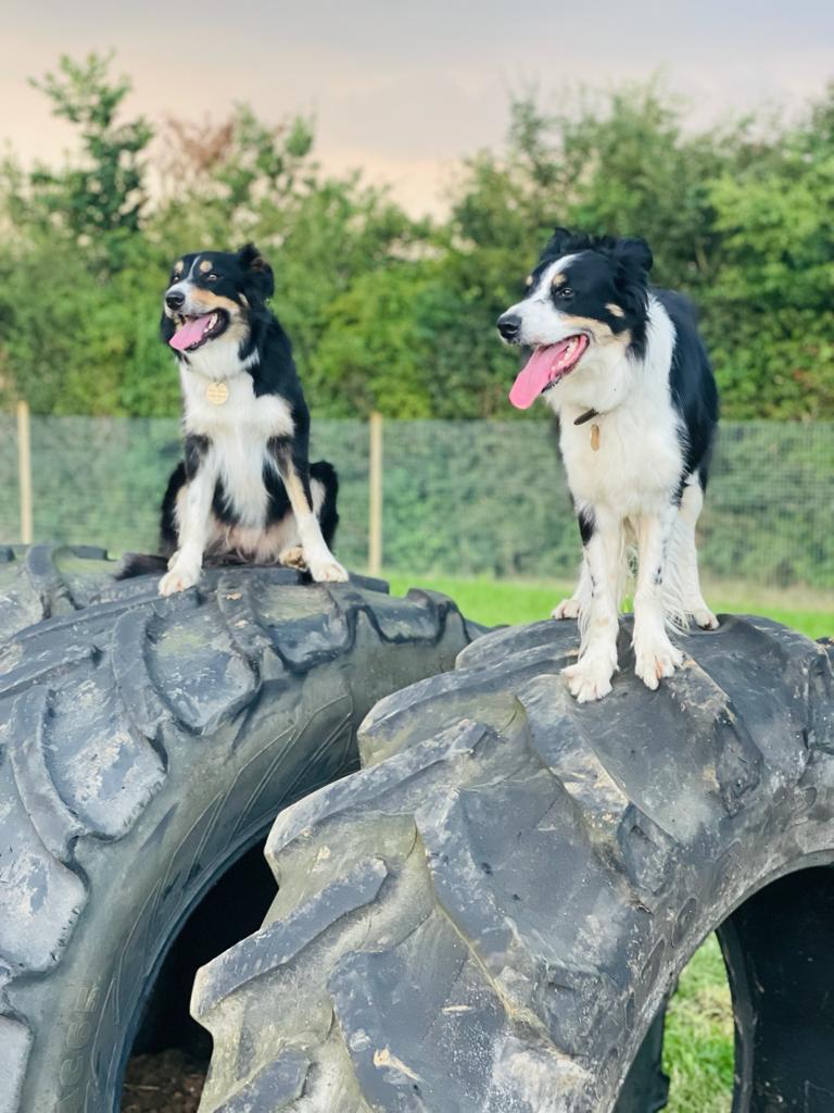 1998 33d6728afe1bb272787ed28341f9b053 1