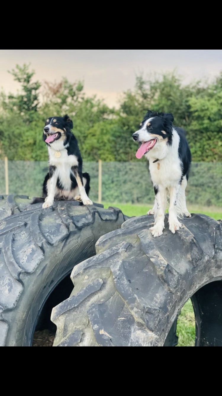 1998 39150381228ceff445fdf00f7ff86c22 1